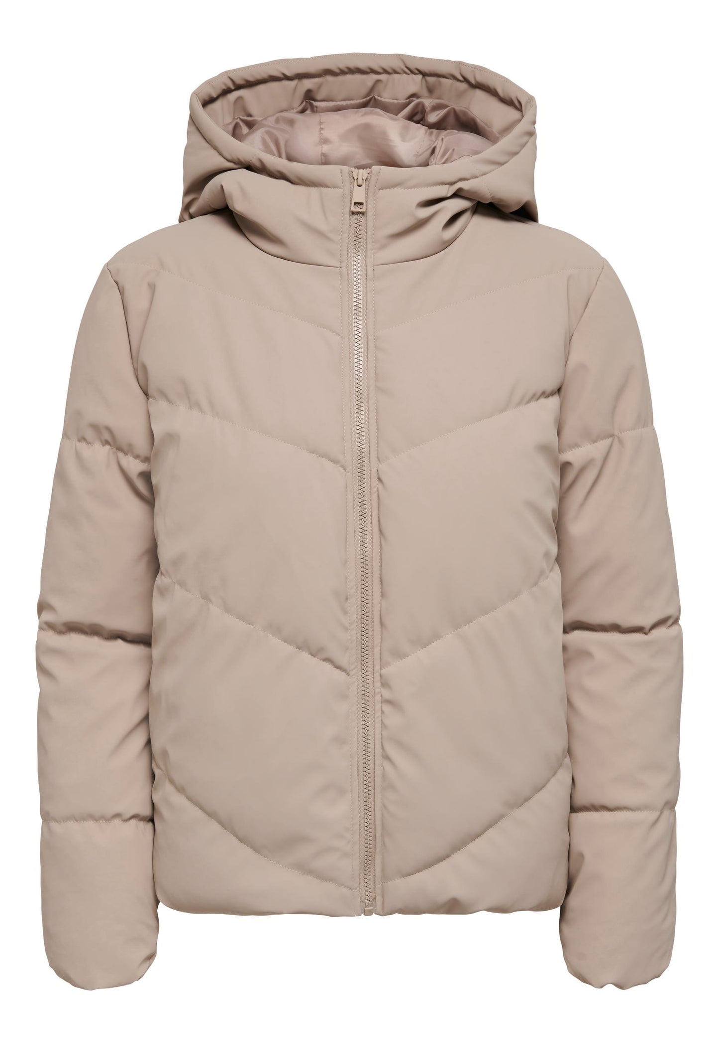 JDY Arnhem Water Repellent Quilted Short Hooded Puffer Jacket in Beige - One Nation Clothing